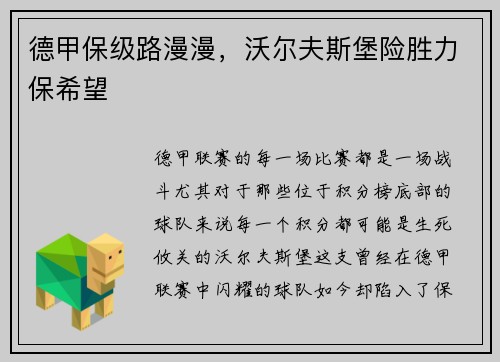 德甲保级路漫漫，沃尔夫斯堡险胜力保希望